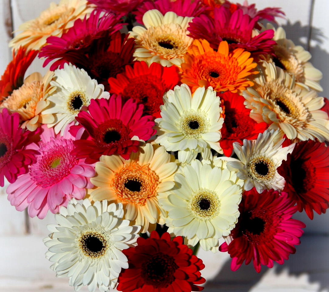 Bouquet of colorful gerberas wallpaper 1080x960