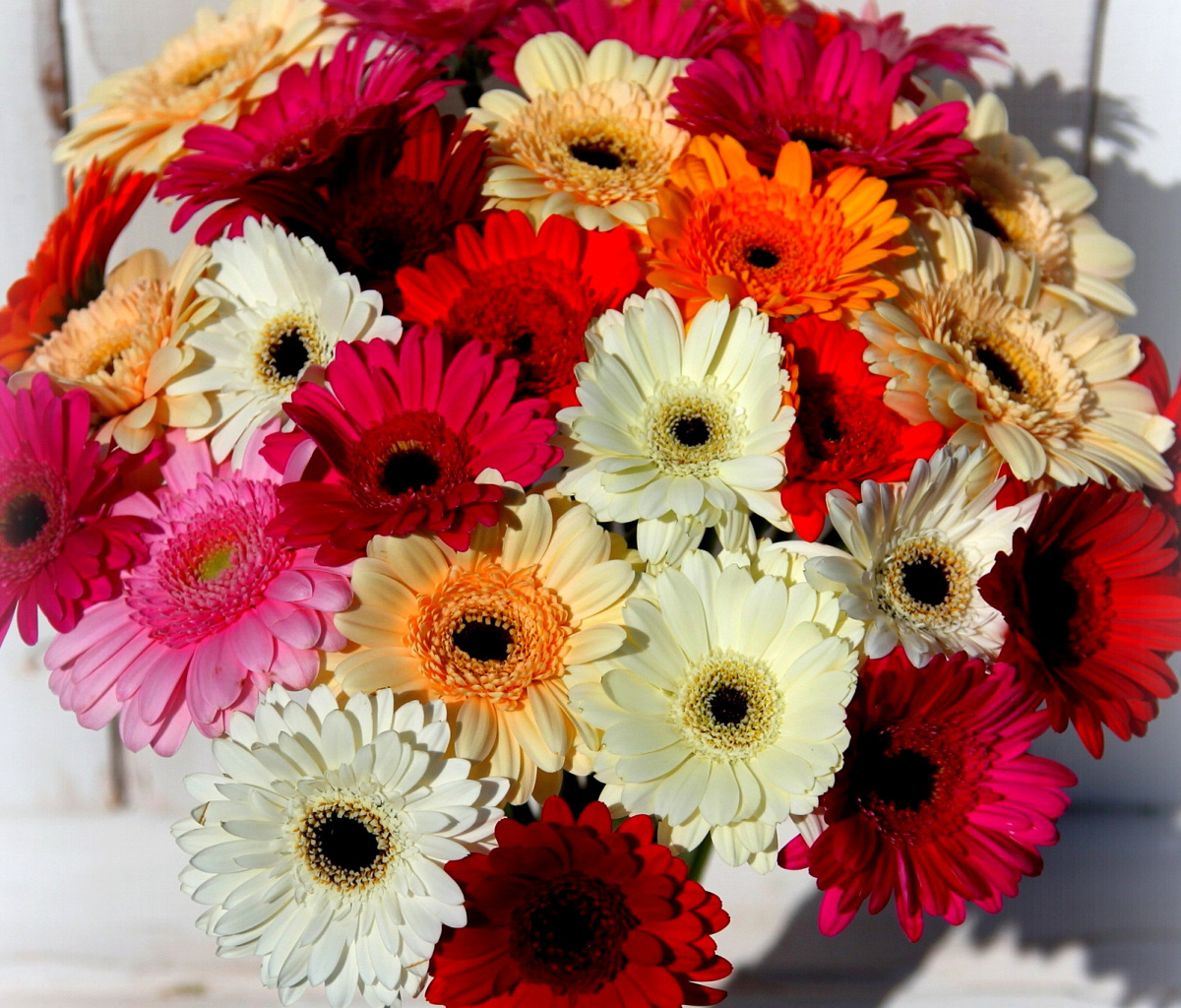 Обои Bouquet of colorful gerberas 1200x1024