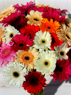 Sfondi Bouquet of colorful gerberas 240x320