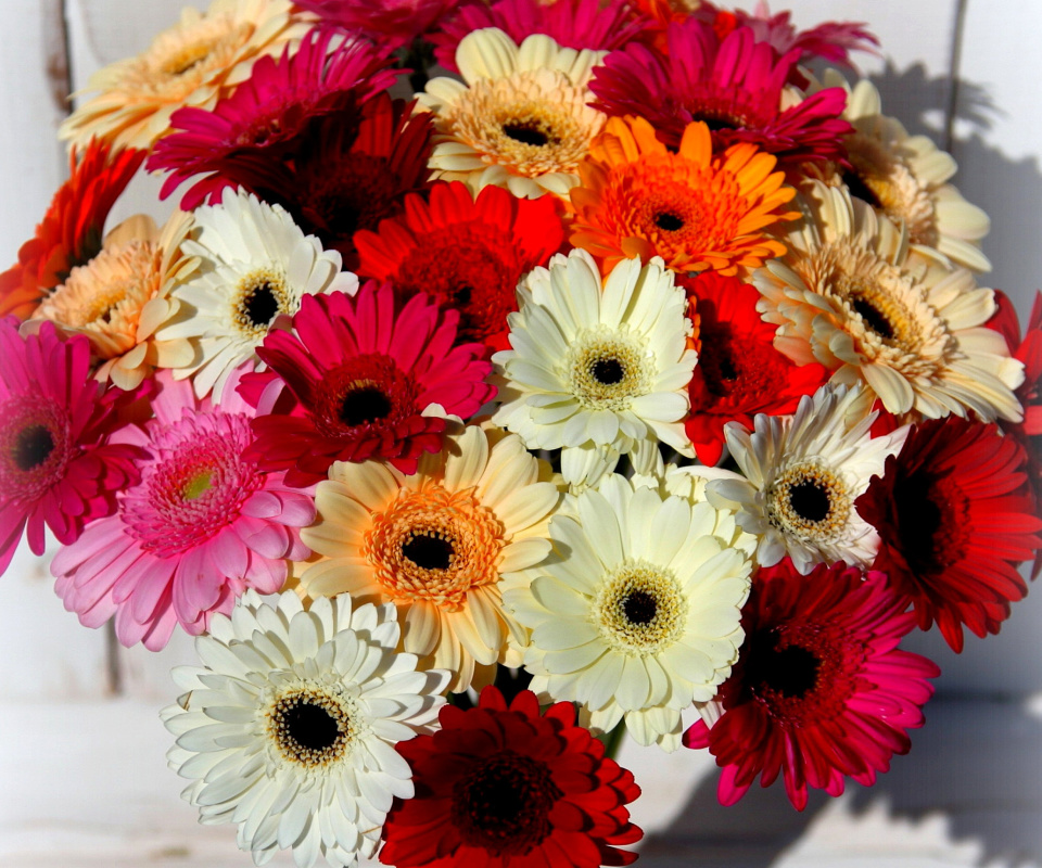 Обои Bouquet of colorful gerberas 960x800