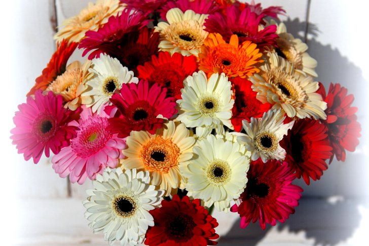 Fondo de pantalla Bouquet of colorful gerberas