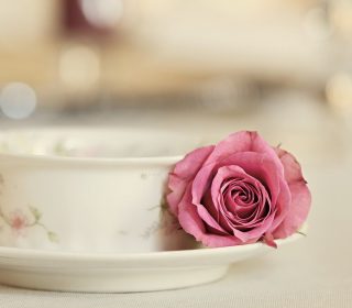Elegant Rose In Cup sfondi gratuiti per iPad Air