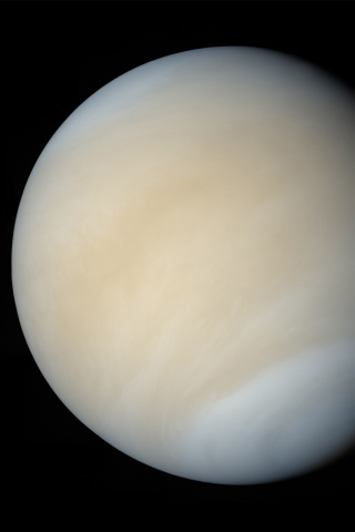 Fondo de pantalla Venus 320x480