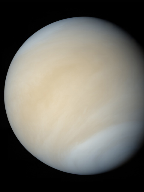 Venus screenshot #1 480x640