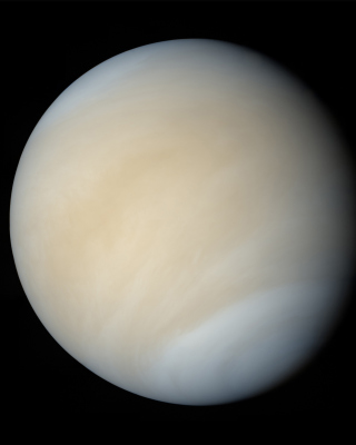 Venus - Obrázkek zdarma pro 640x960