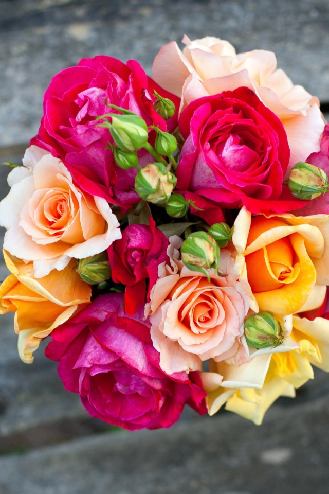 Fondo de pantalla Colorful Roses 640x960