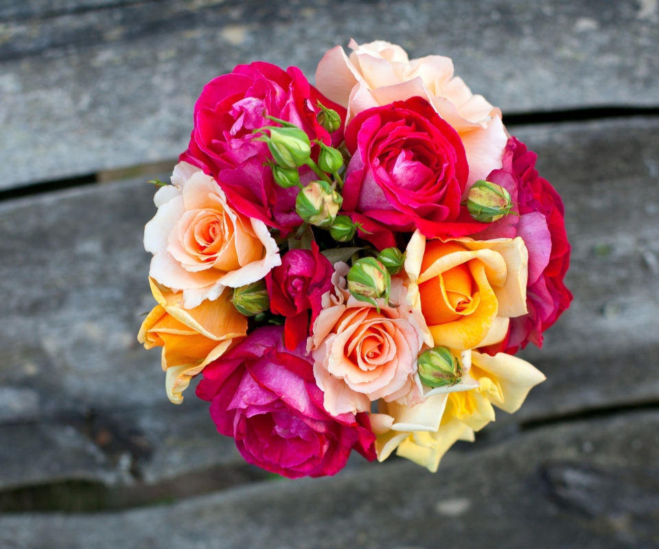 Colorful Roses wallpaper 960x800