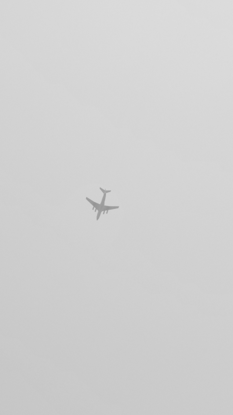 Airplane High In The Sky screenshot #1 750x1334