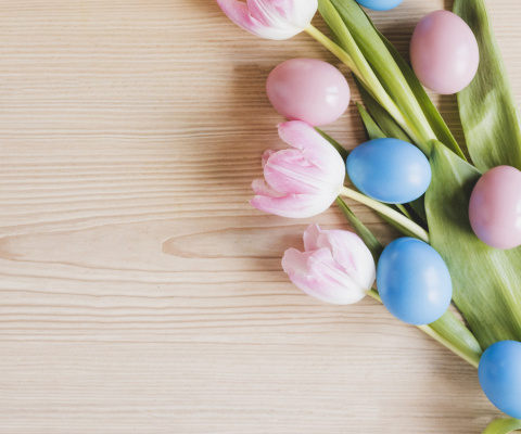 Easter Tulips screenshot #1 480x400