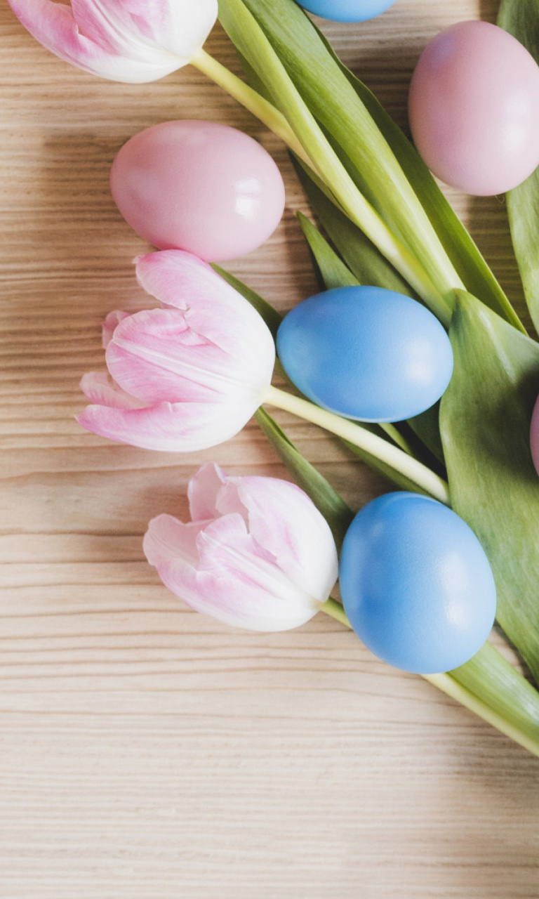 Das Easter Tulips Wallpaper 768x1280