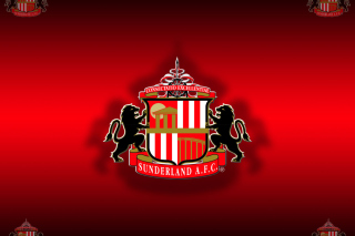 Sunderland - Obrázkek zdarma pro 220x176