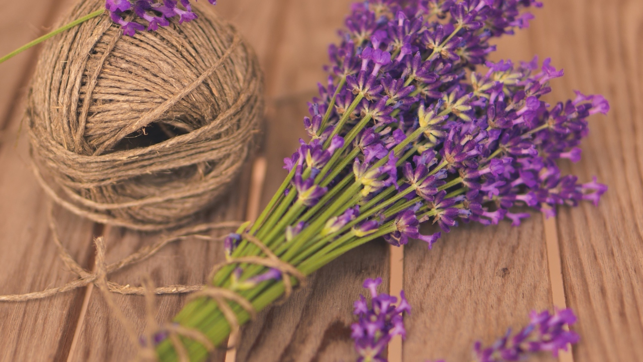 French Lavender Bouquet screenshot #1 1280x720