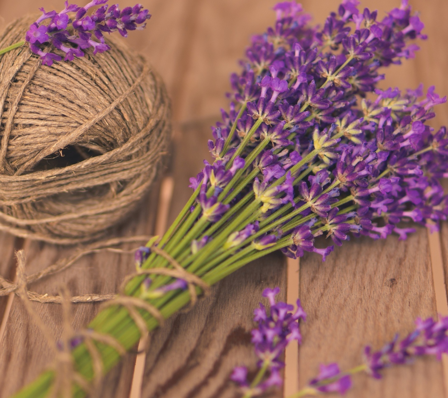 Screenshot №1 pro téma French Lavender Bouquet 1440x1280