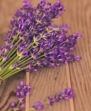 Kostenloses French Lavender Bouquet Wallpaper für Nokia Asha 306