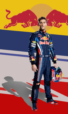 Screenshot №1 pro téma Sebastian Vettel Red Bull 240x400