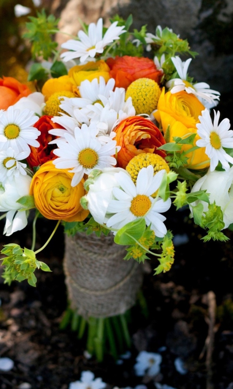 Nature Wild Bouquet Of Flowers wallpaper 480x800