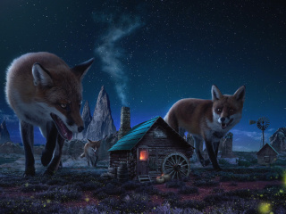 Das Fox Demons Wallpaper 320x240