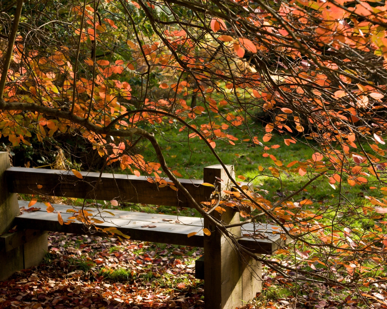 Autumn Bench wallpaper 1280x1024