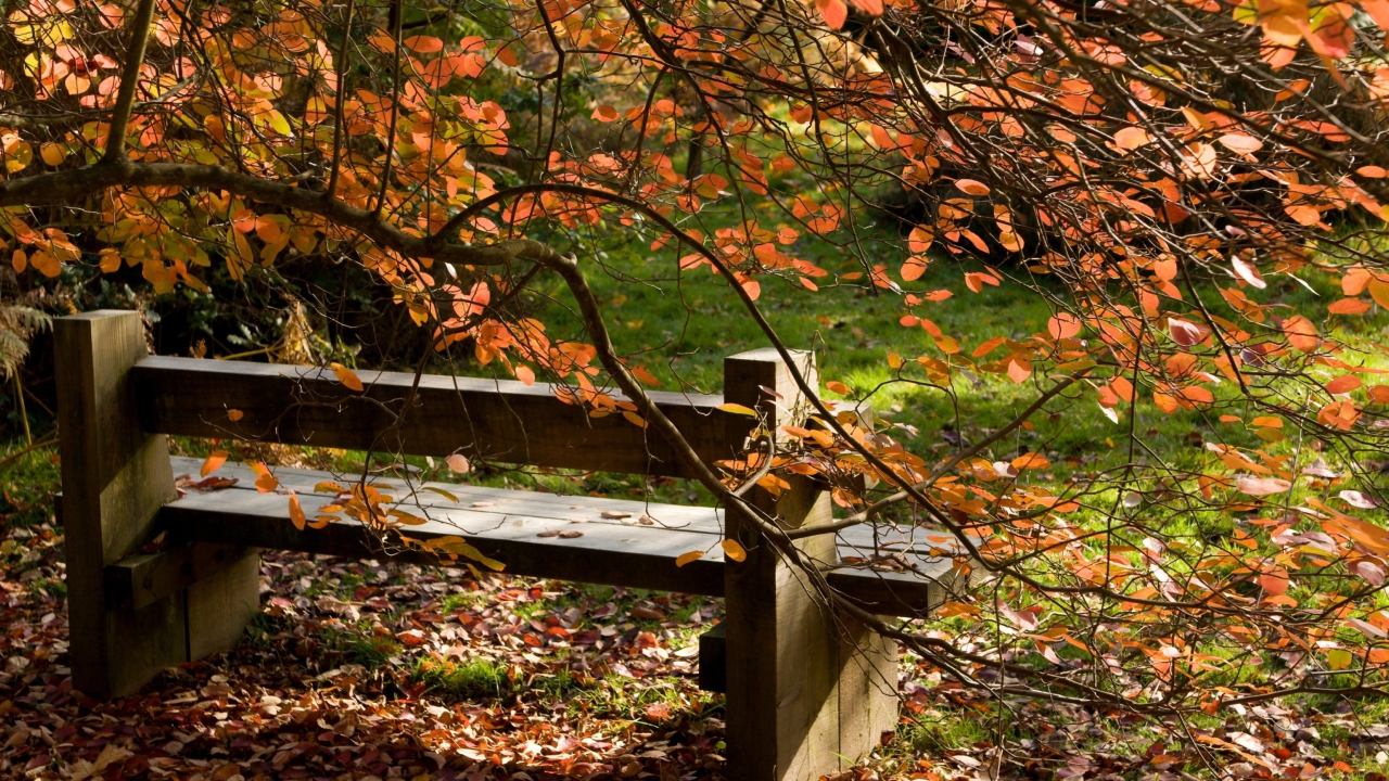 Autumn Bench wallpaper 1280x720