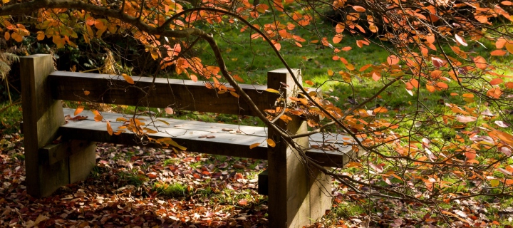 Autumn Bench wallpaper 720x320