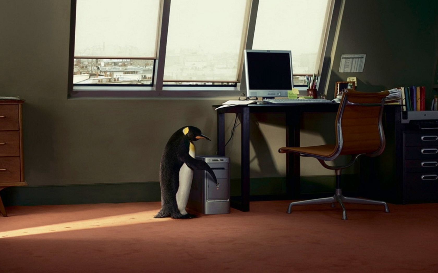 Das Penguin and Computer Wallpaper 1680x1050