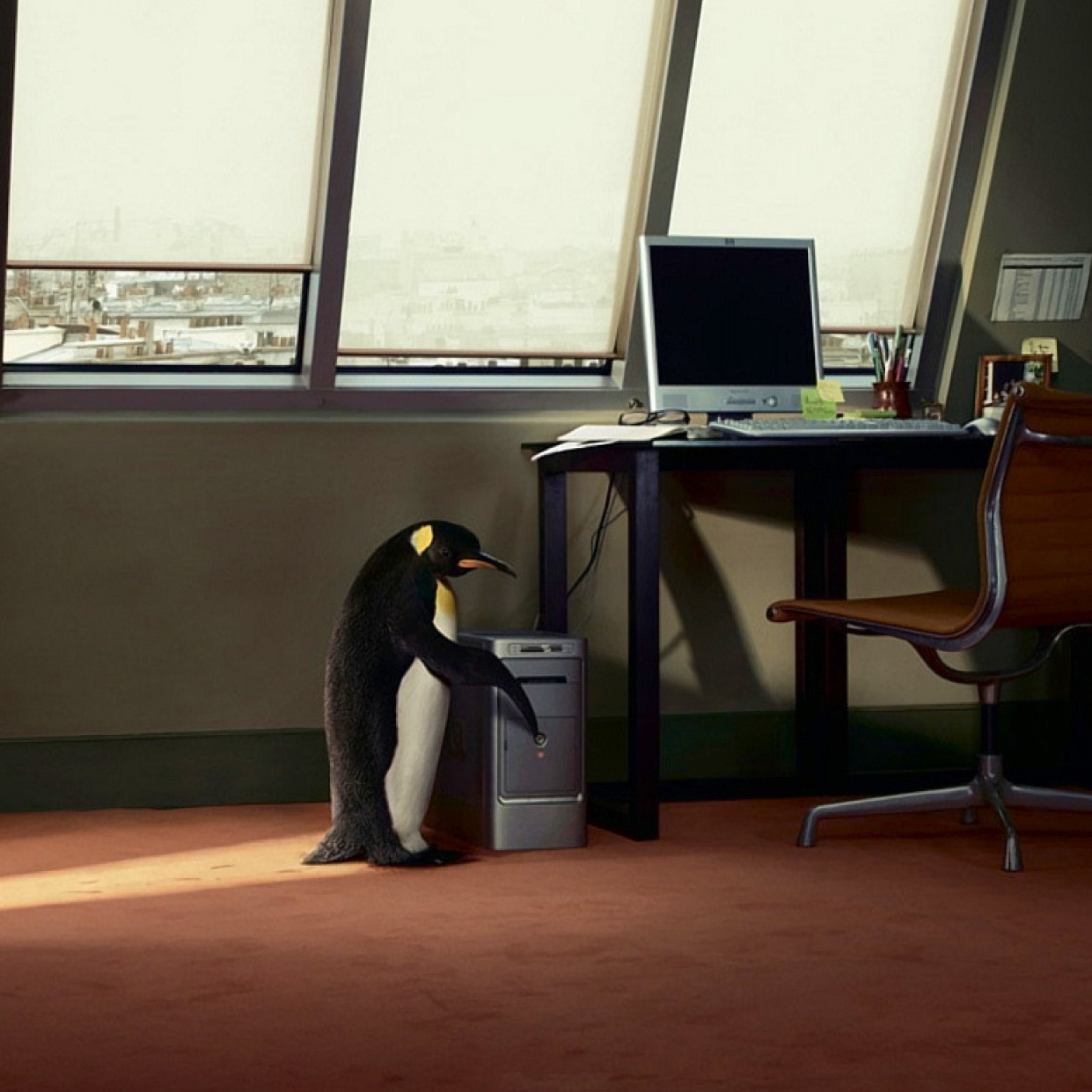 Penguin and Computer screenshot #1 2048x2048
