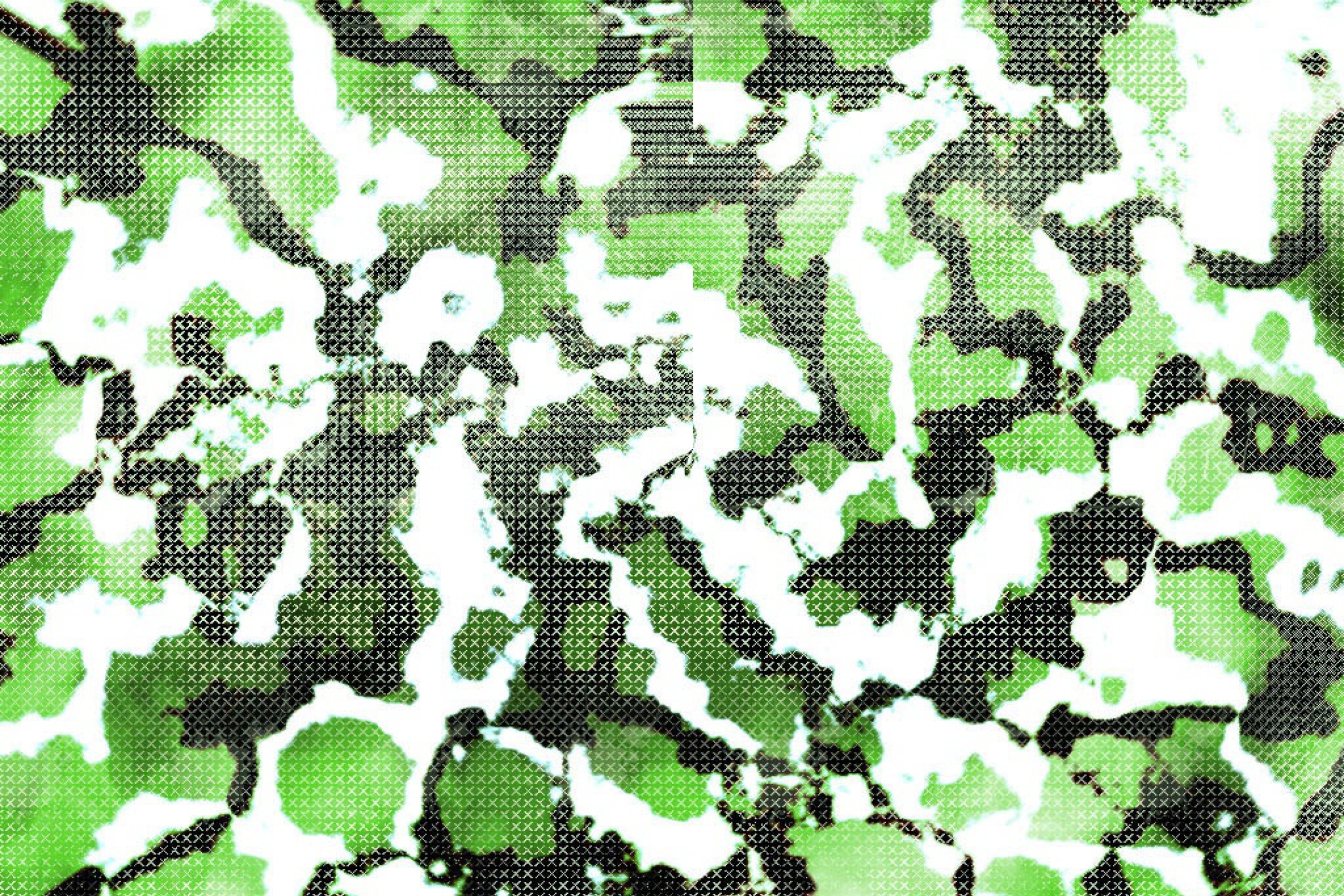 Screenshot №1 pro téma Green Snake Skin 2880x1920