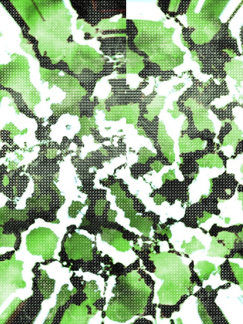 Green Snake Skin wallpaper 480x640