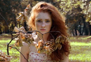 Autumn Fairy - Obrázkek zdarma pro 176x144