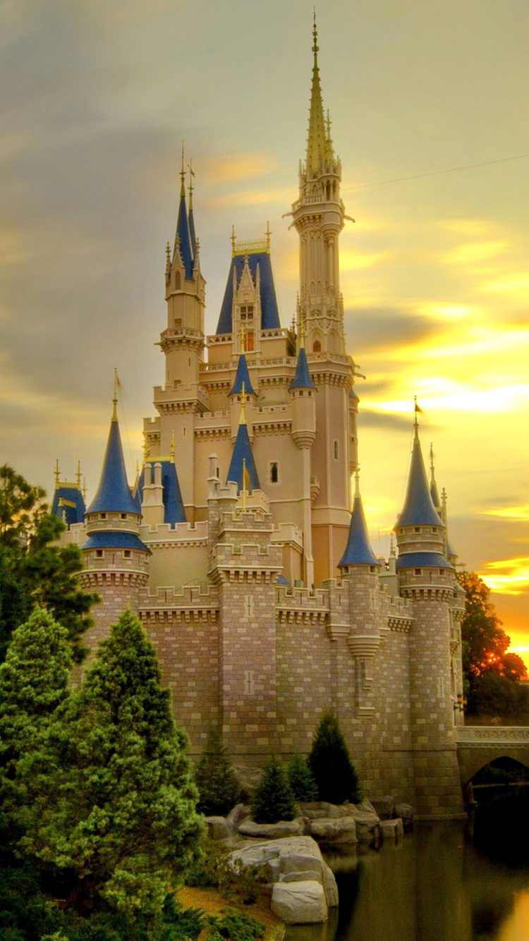 Disneyland Castle wallpaper 750x1334