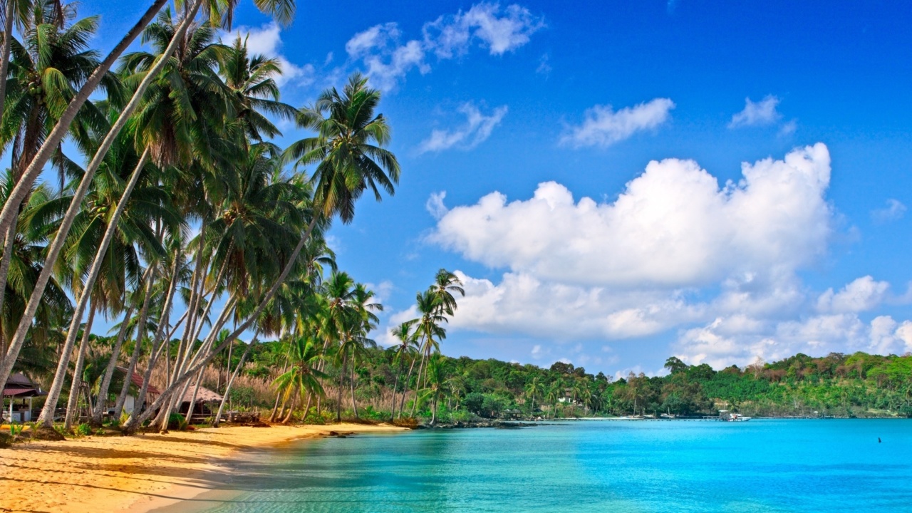 Fondo de pantalla Caribbean Beach 1280x720