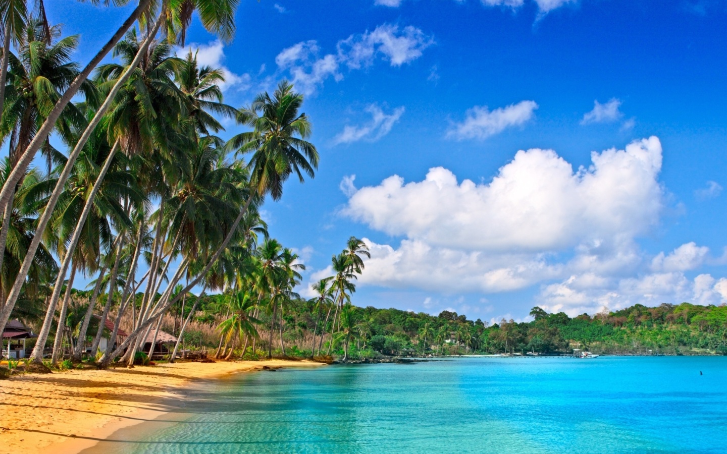 Caribbean Beach screenshot #1 1440x900