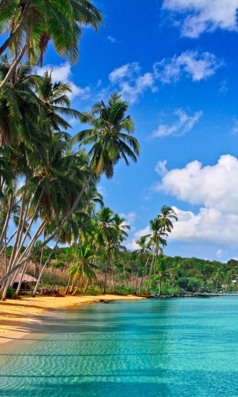 Das Caribbean Beach Wallpaper 480x800