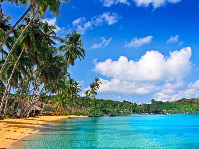 Caribbean Beach wallpaper 640x480