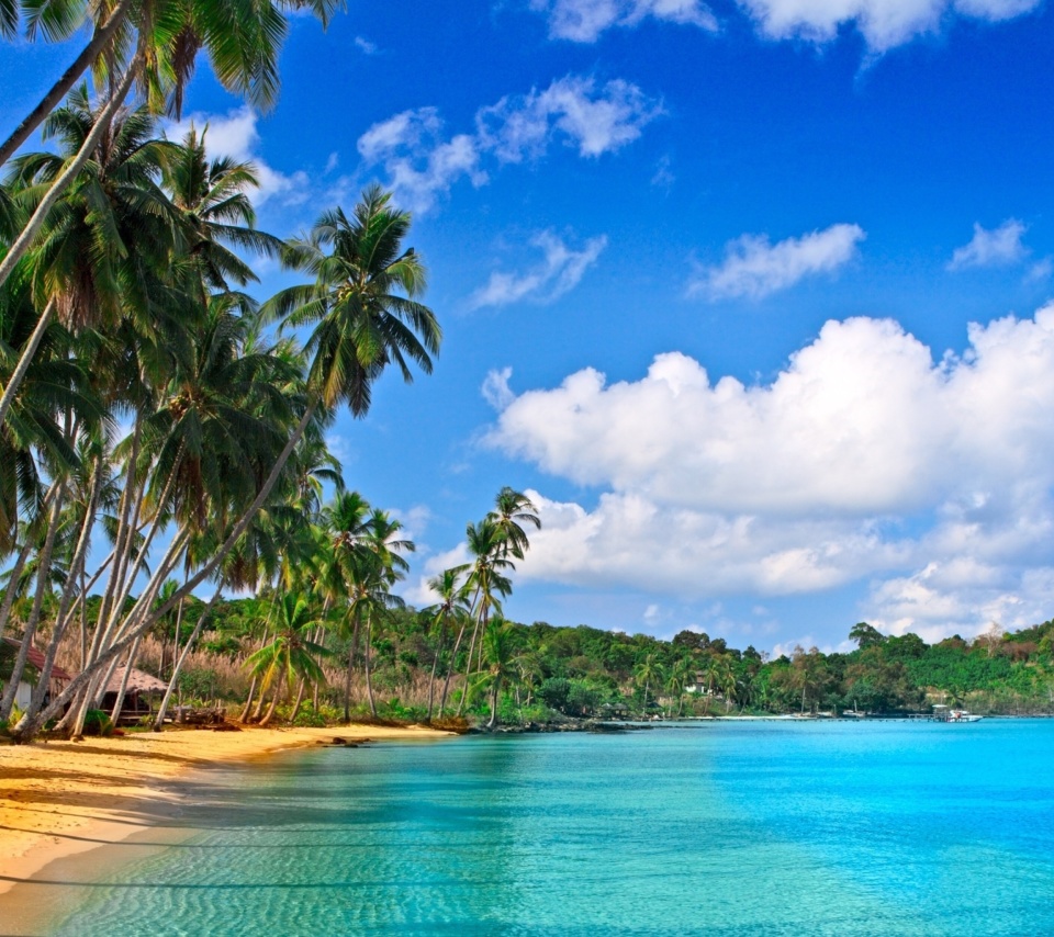 Caribbean Beach screenshot #1 960x854