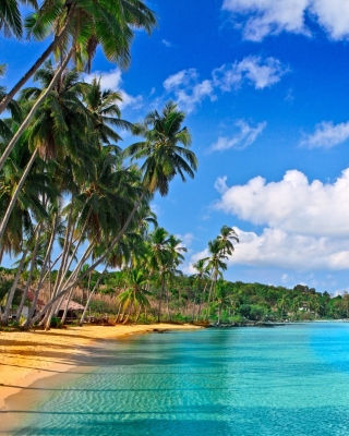 Картинка Caribbean Beach на Nokia Asha 300