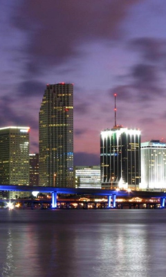 Das Miami Skyline Dusk Wallpaper 240x400