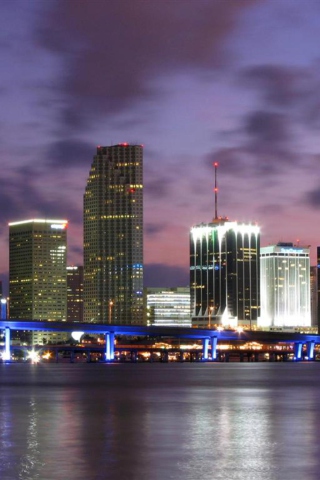 Screenshot №1 pro téma Miami Skyline Dusk 320x480