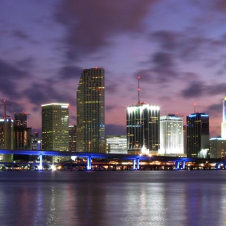 Miami Skyline Dusk - Obrázkek zdarma pro 208x208