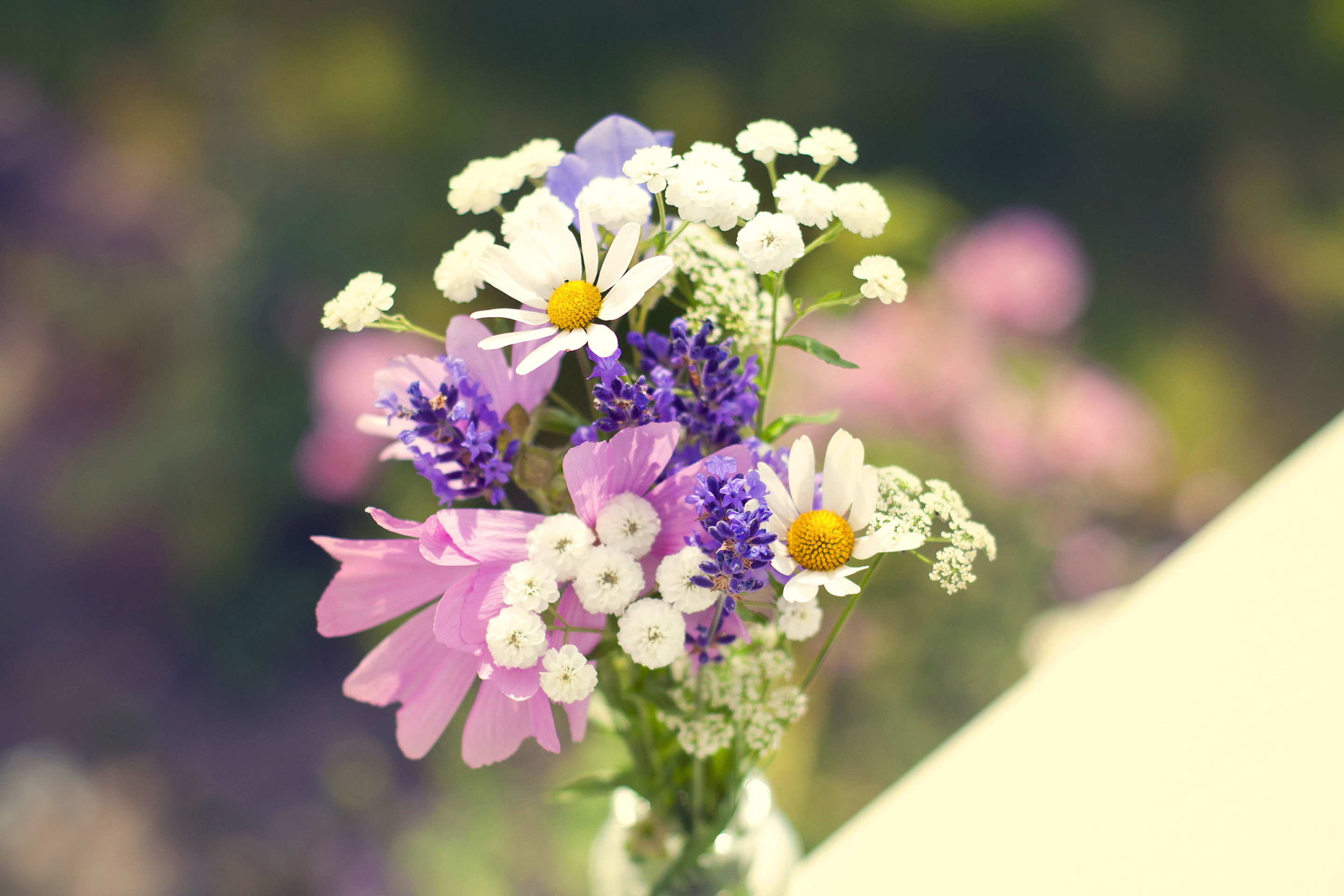 Bouquet of wildflowers screenshot #1 2880x1920