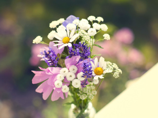 Обои Bouquet of wildflowers 320x240