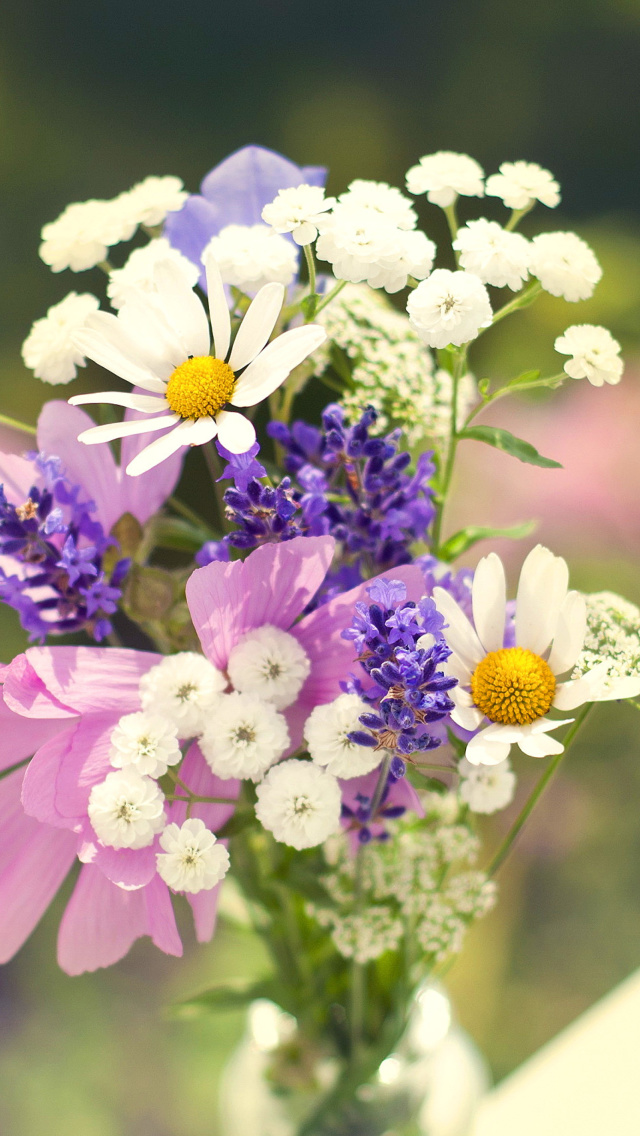 Sfondi Bouquet of wildflowers 640x1136