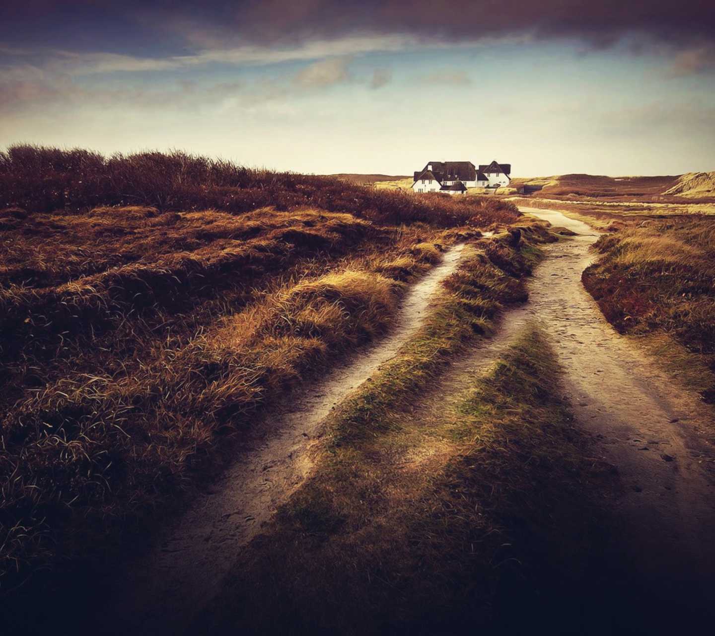 Country Road screenshot #1 1440x1280