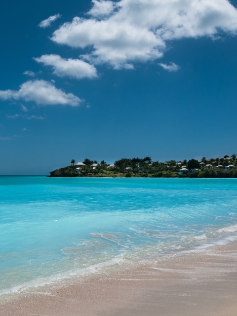 Fondo de pantalla Valley Church Beach in Antigua 480x640