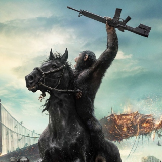 Dawn Of The Planet Of The Apes Movie - Obrázkek zdarma pro iPad Air