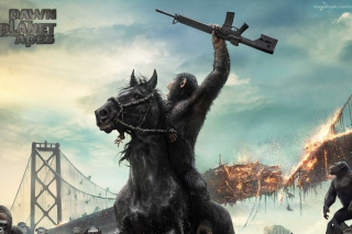 Dawn Of The Planet Of The Apes Movie - Obrázkek zdarma pro 640x480