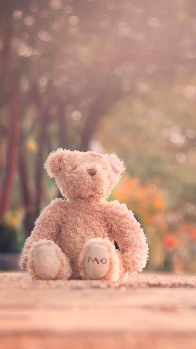 Fondo de pantalla Teddy Bear Left Alone On Road 640x1136