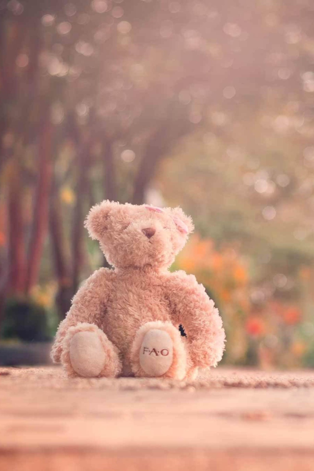 Das Teddy Bear Left Alone On Road Wallpaper 640x960