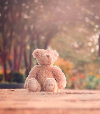 Teddy Bear Left Alone On Road - Fondos de pantalla gratis para Huawei G7300