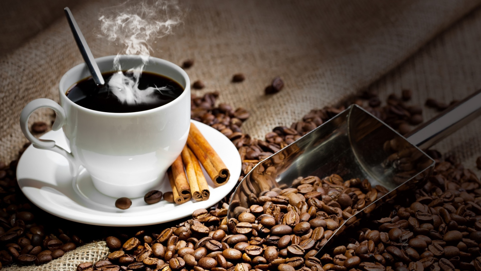 Fondo de pantalla Cup Of Hot Coffee And Cinnamon Sticks 1600x900